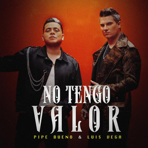 No Tengo Valor album art