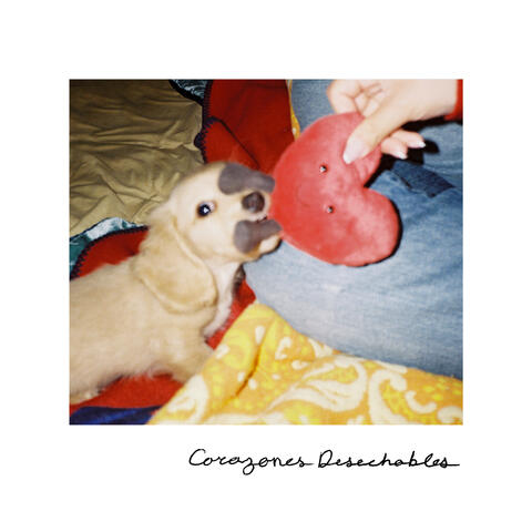 Corazones Desechables album art
