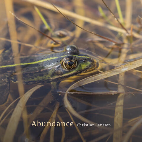 Abundance album art
