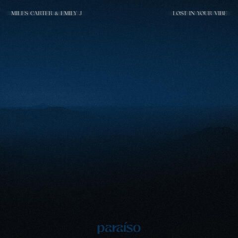 Lost In Your Vibe album art