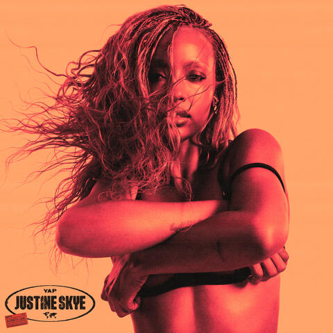 YAP album art