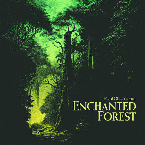 Enchanted Forest album art