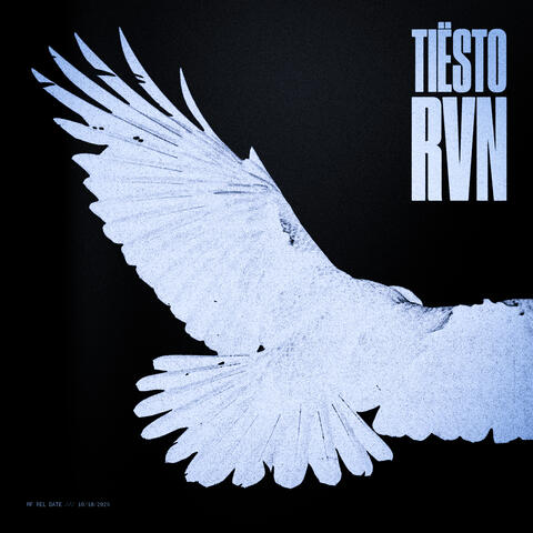 RVN (Raven) album art