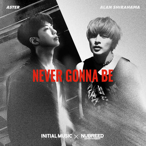 Never Gonna Be album art