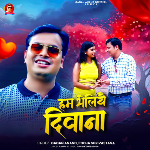 Ham Bheliyai Deewana album art