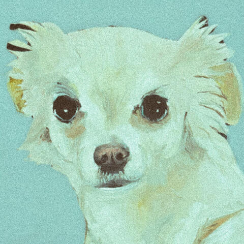 Dulce Perro album art