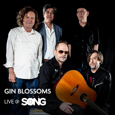 Gin Blossoms album art
