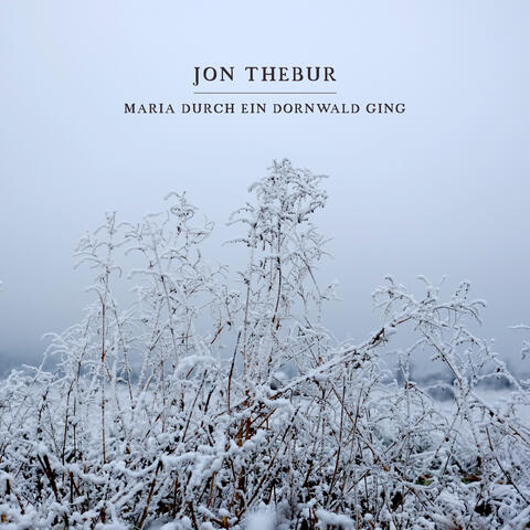 Maria durch ein Dornwald ging album art