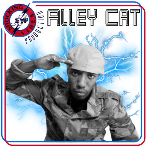 Shocking Vibes Presents: Alley Cat album art