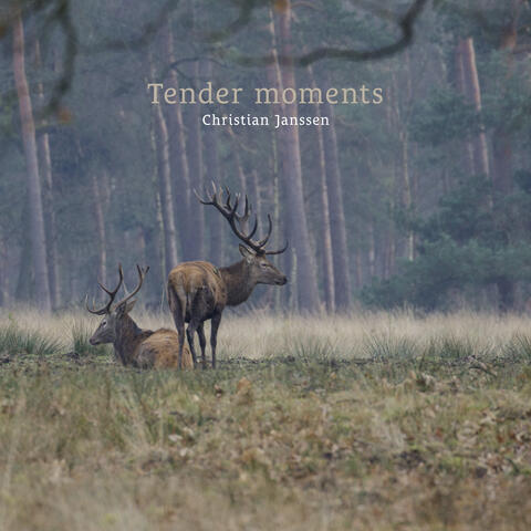 Tender moments album art