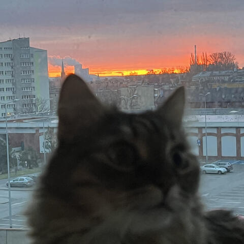 PRZYJACIÓŁKA album art