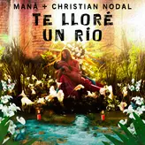 Image of Te Lloré Un Río