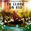 Te Lloré Un Río album artwork