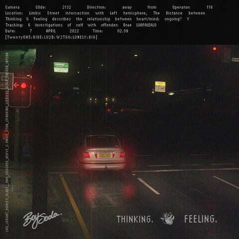 THE DISTANCE BETWEEN THINKING AND FEELING album art