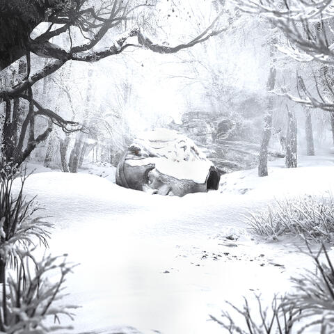 SZNZ: Winter album art