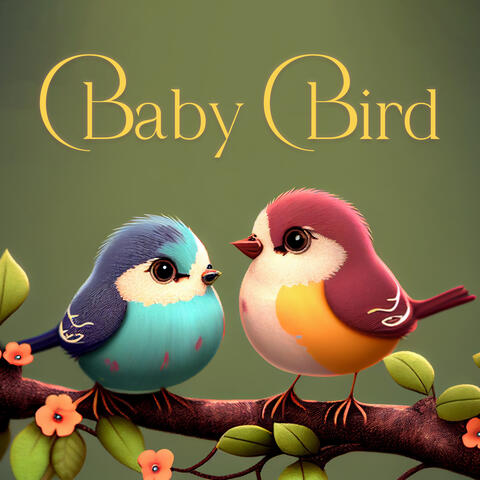 Baby bird album art