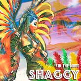 Image of In The Mood