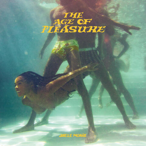 The Age of Pleasure album art