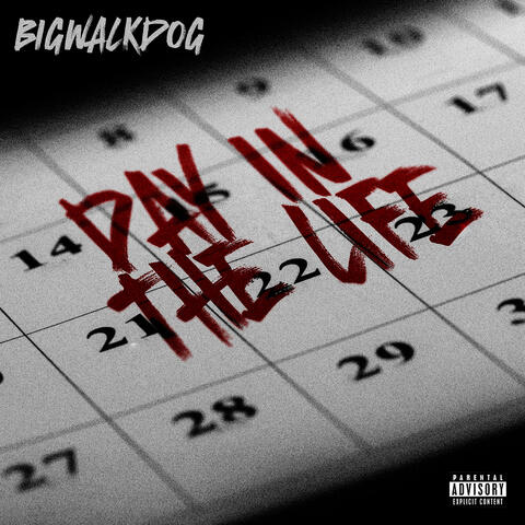 Day in the Life album art