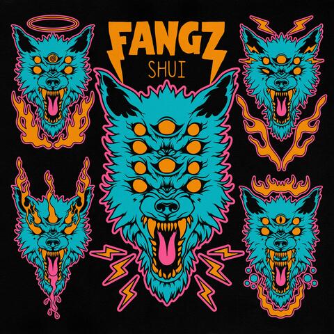 Shui album art