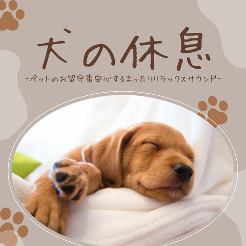 犬の休息：ペットリラックスさせる・落ち着く吠えない・眠たくなる album art