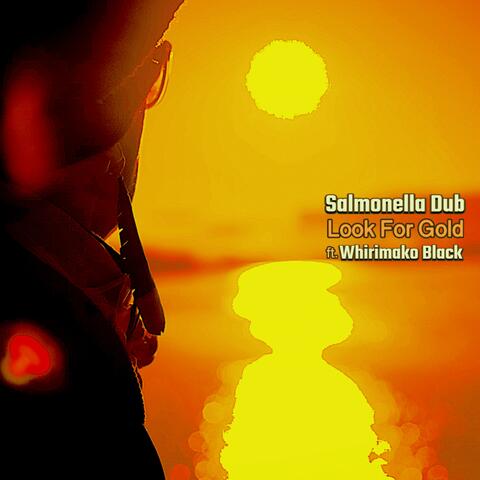 Look for Gold album art