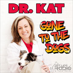Dr. Kat Gone to the Dogs - Episode 29 What is the American Animal Hospital Association? - Dr. Kat Gone to the Dogs on Pet Life Radio (PetLifeRadio.com)