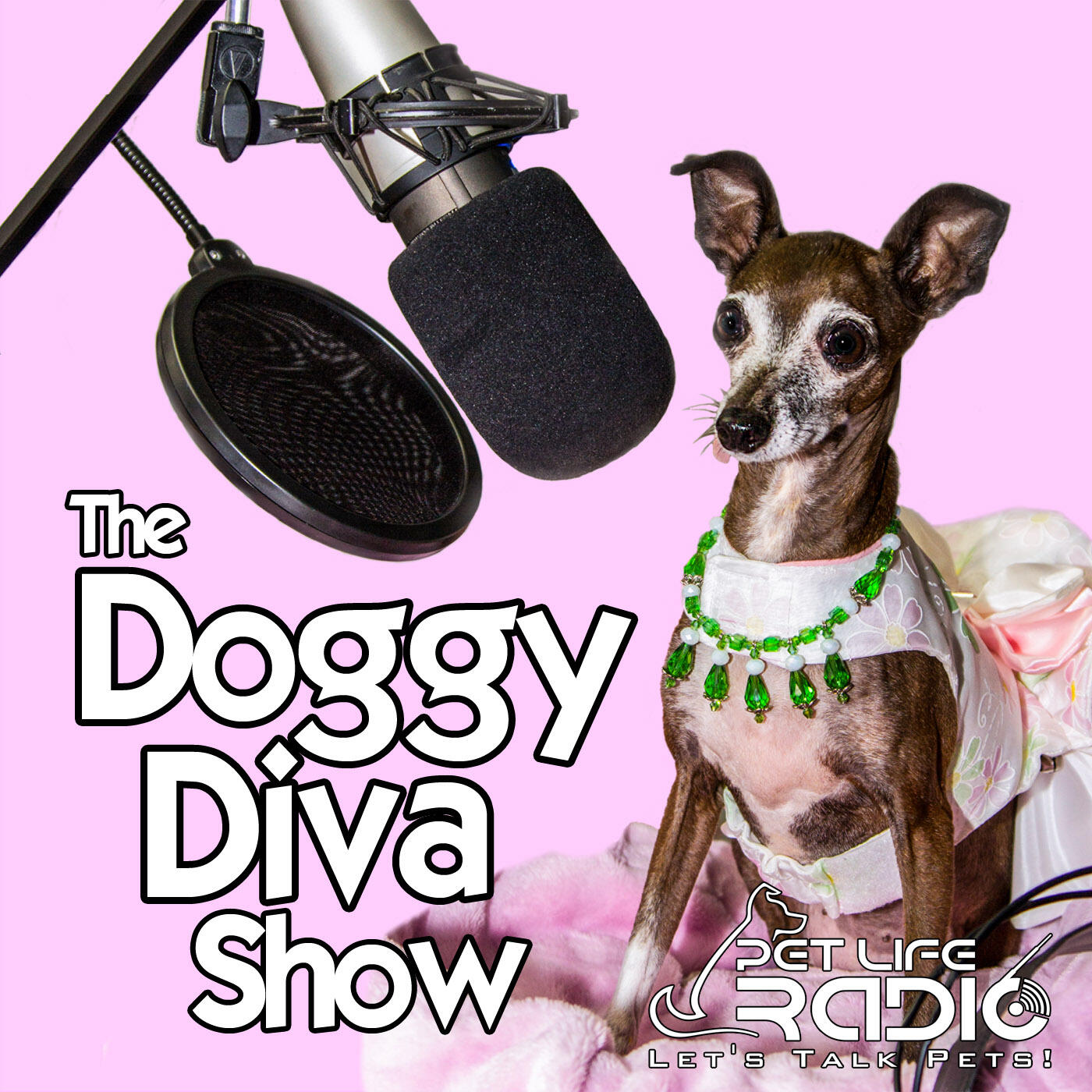 Радио и питомцы. Diva Dog. Dog Diva Hayastan. Body Pet Life. Radio pets