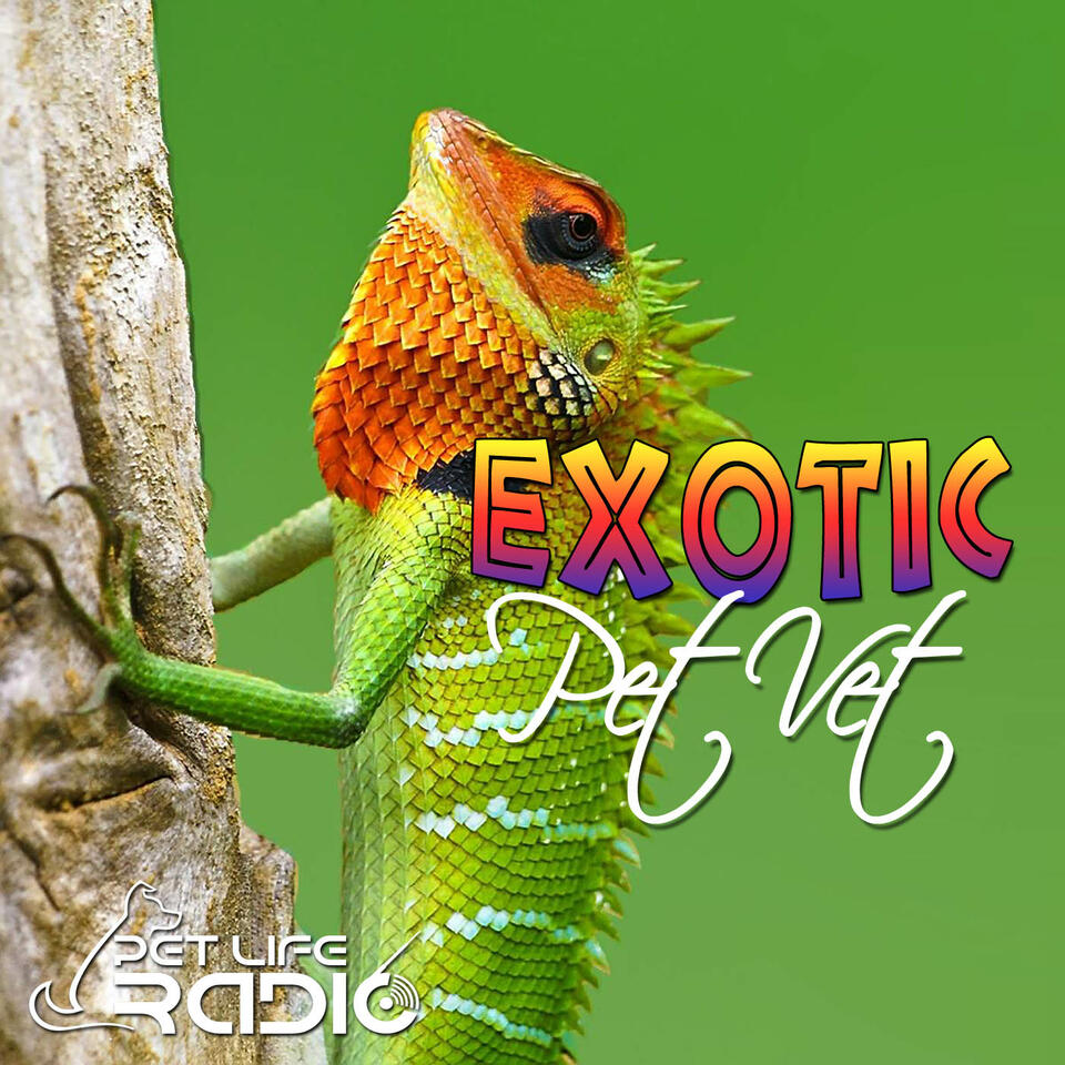 The Exotic Pet Vet on Pet Life Radio (PetLifeRadio.com)