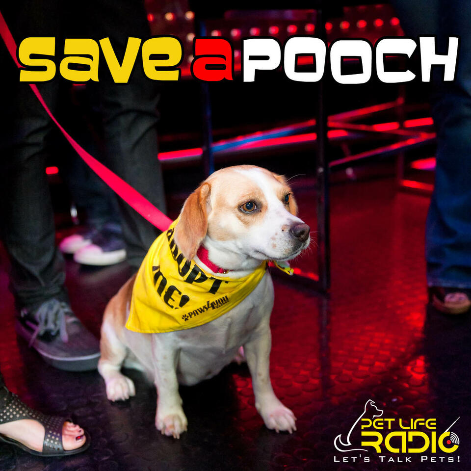 Save A Pooch - Rescue Dog Welfare- Pet Life Radio Original (PetLifeRadio.com)