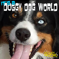 It's A Doggy Dog World - Dog Podcast about dogs as pets & caring for your pet dog, - Pets & Animals on Pet Life Radio (PetLifeRadio.com)