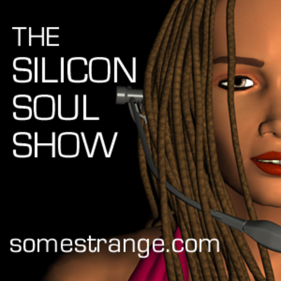 The Silicon Soul Show