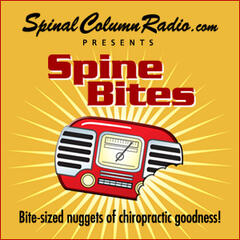 Spine Bites from SpinalColumnRadio