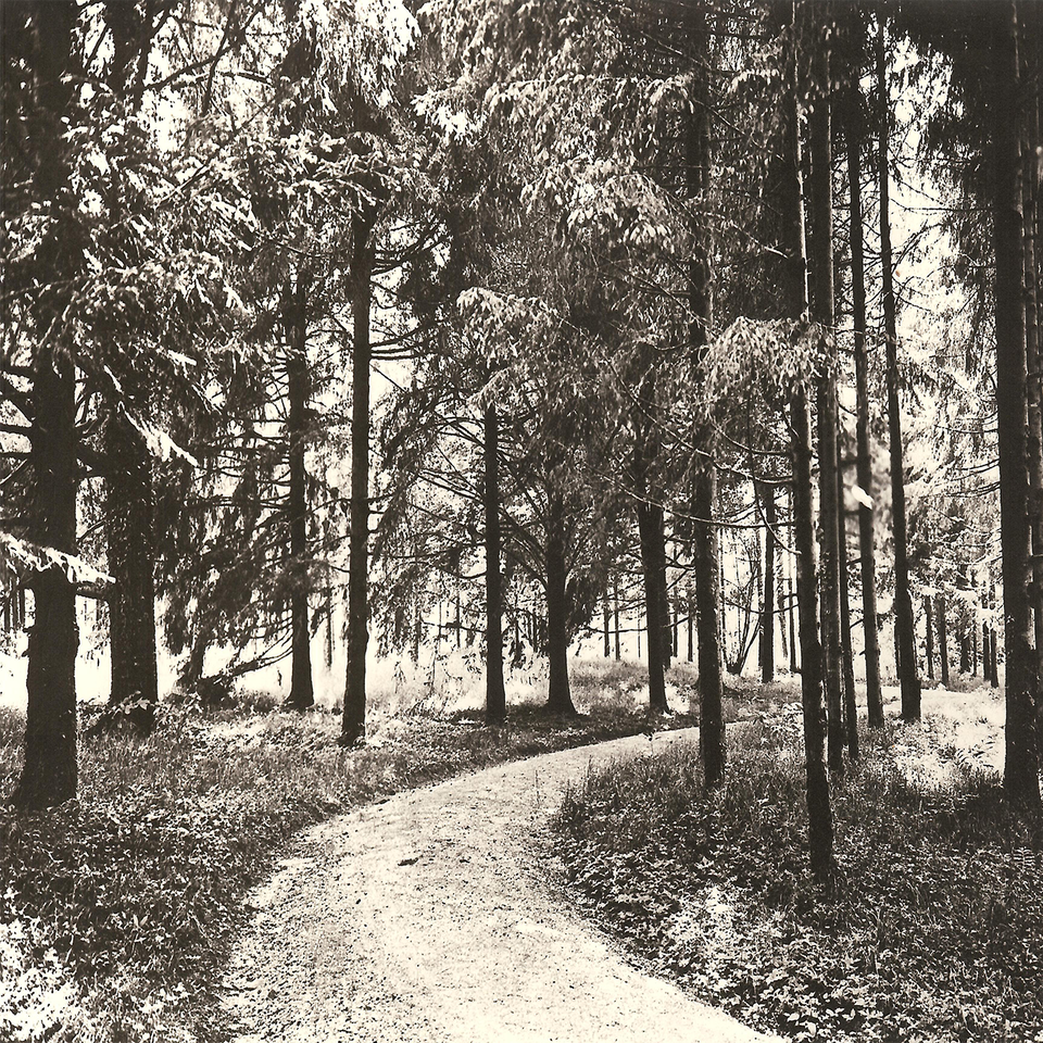 The Virtues of Peace