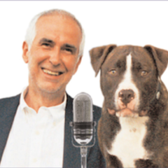 Dr Dunbar's iWoofs Podcasts