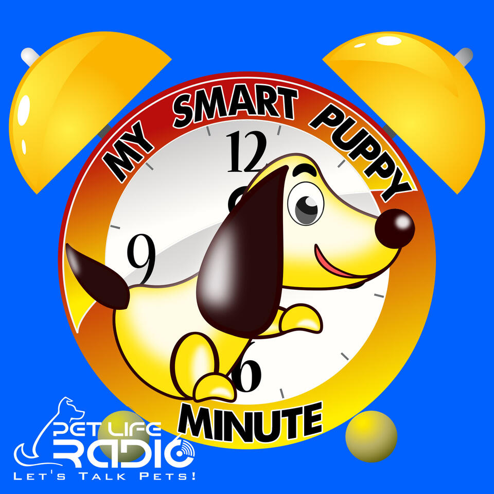The My Smart Puppy Minute on Pet Life Radio (PetLifeRadio.com)