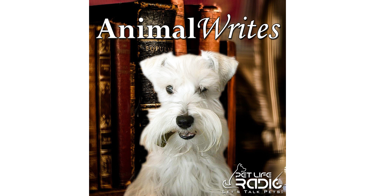 Animal Writes - Episode 199 Tim Link - Wagging Tales - Every Animal Has ...