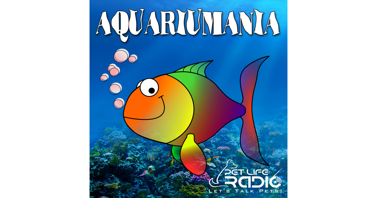 Aquariumania - Tropical Fish as Pets - Pet Life Radio Original