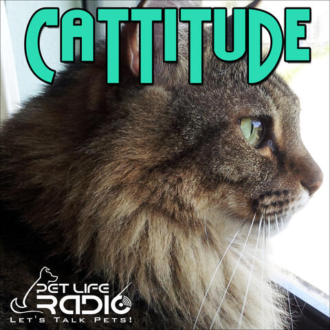 Cattitude - The #1 Cat Podcast About Cats As Pets- Pet Life Radio Original (PetLifeRadio.com)