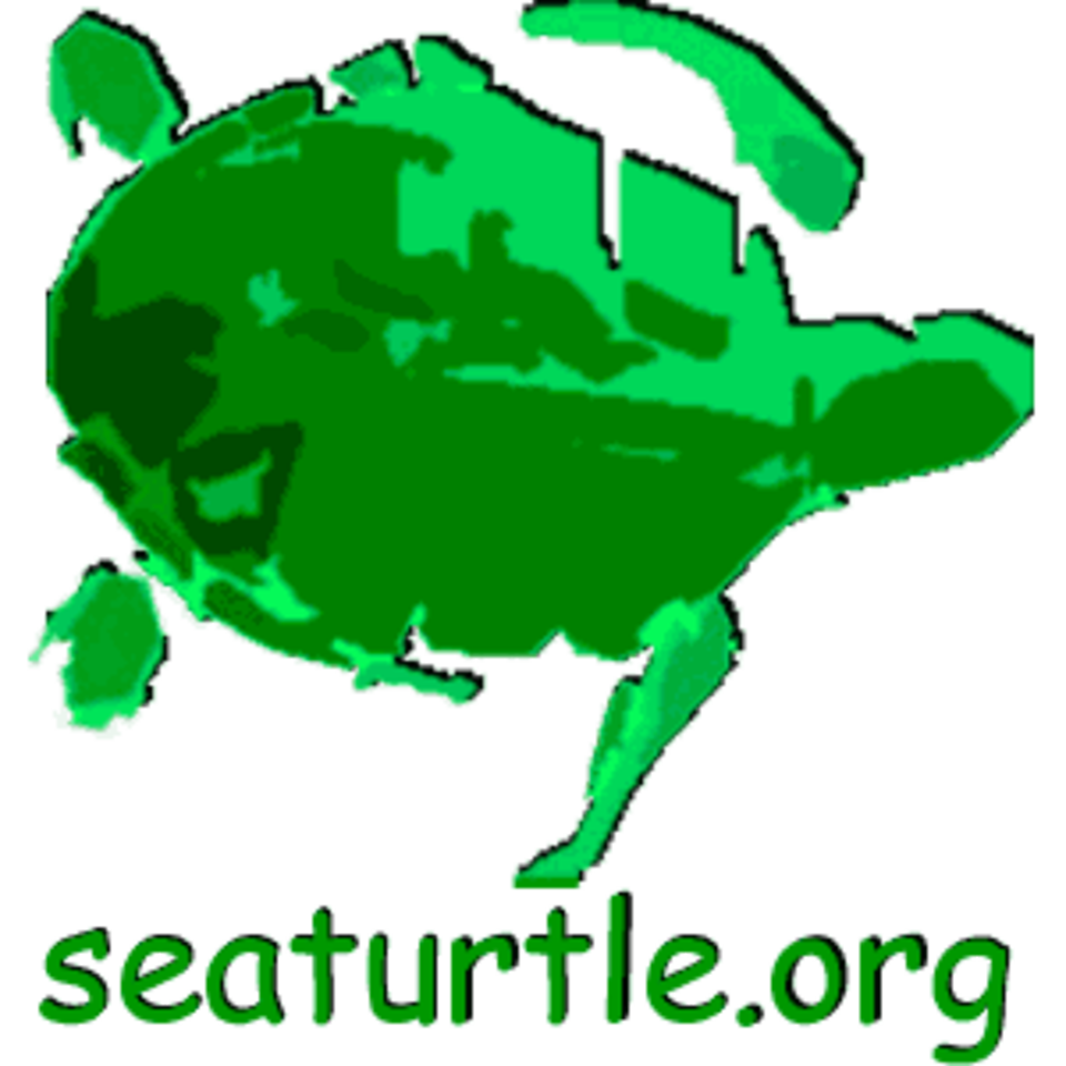 Sea Turtle Multimedia Guide