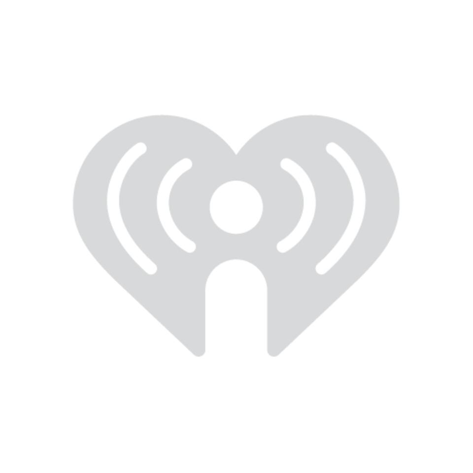 Supply Chain Vodcast by Professor Richard Wilding