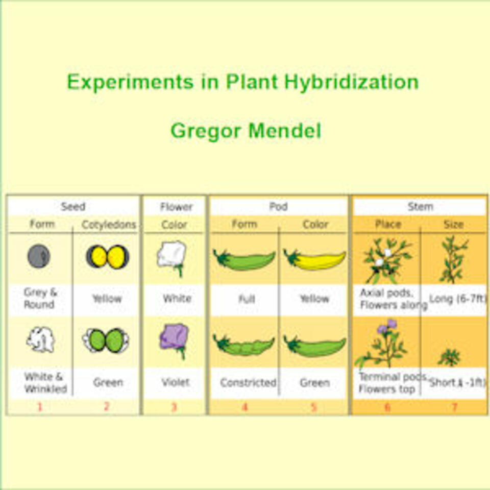 Experiments in Plant Hybridisation by Gregor Mendel (1822 - 1884)