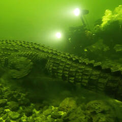 Crocodile Quest (HD)