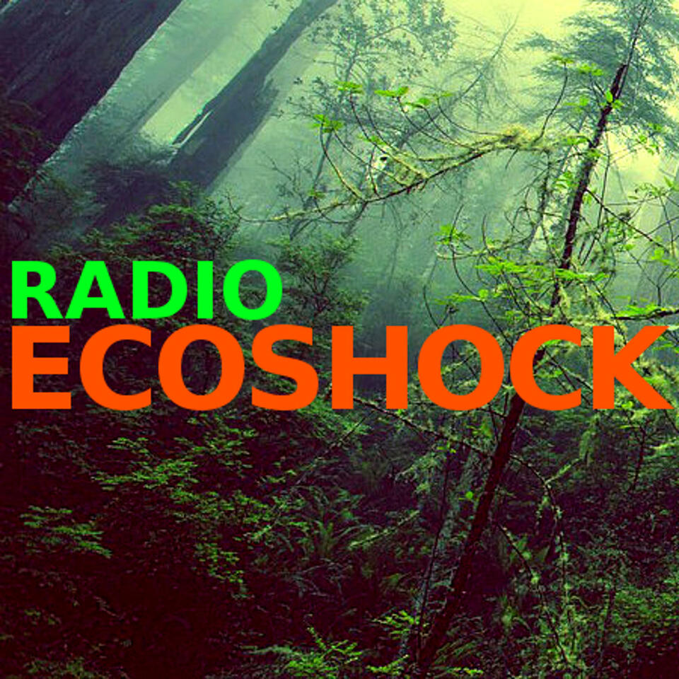 The RADIO ECOSHOCK Show