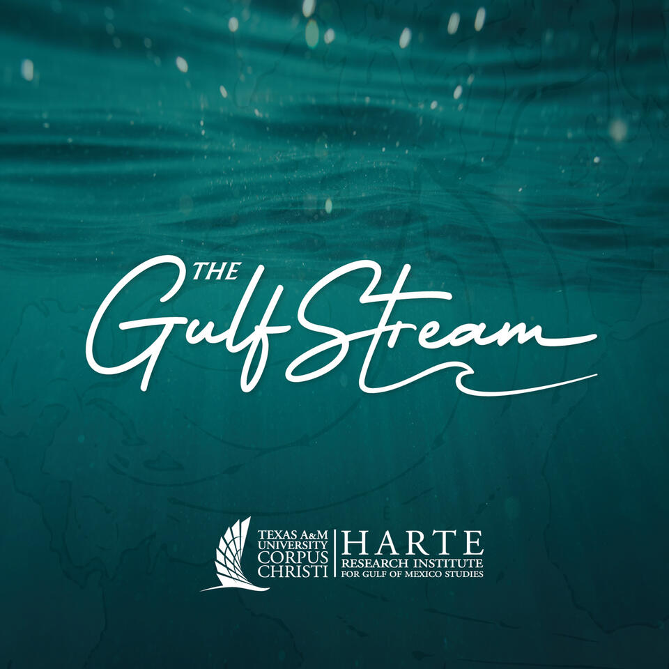 The Gulf Stream Podcast