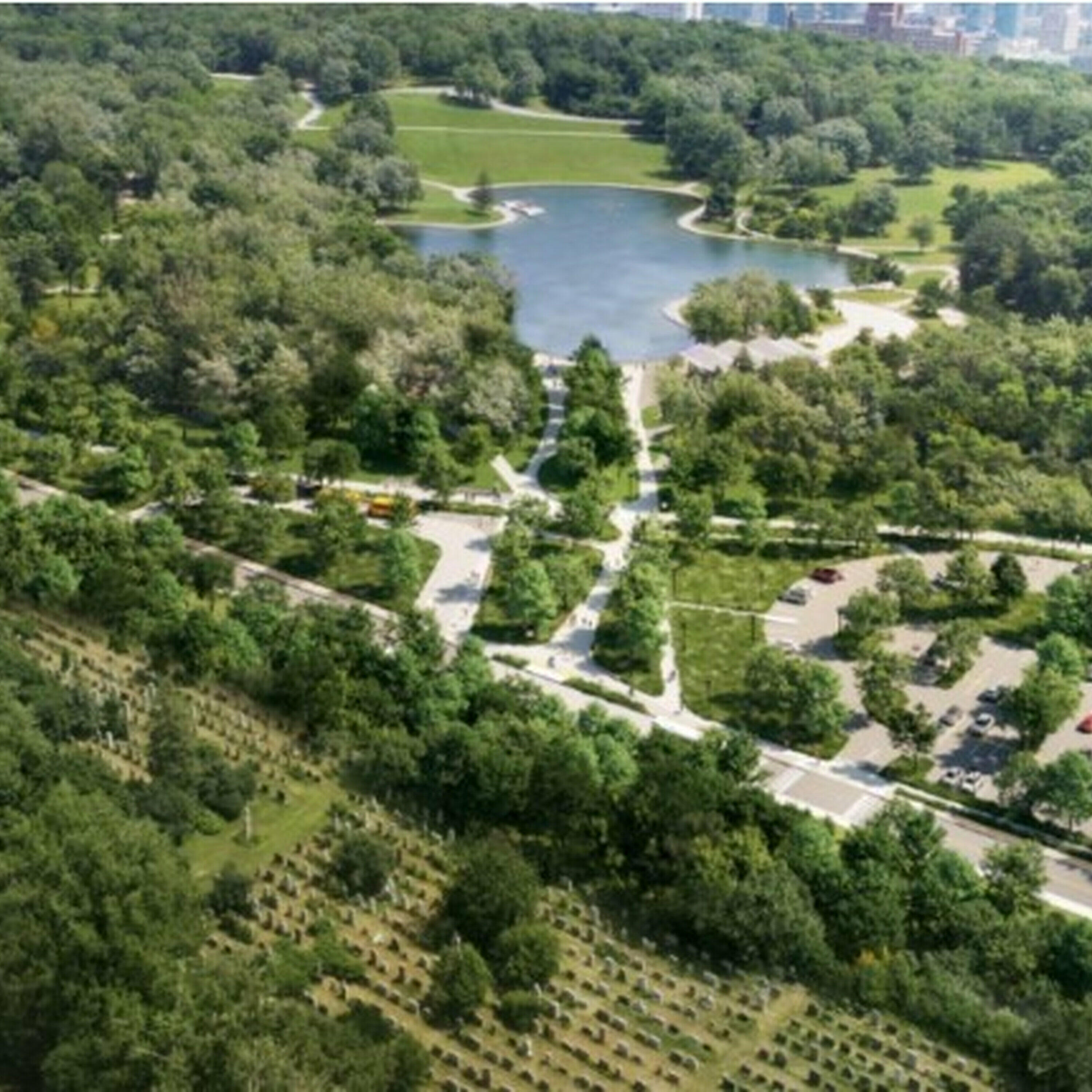 Just how many tree species can be found in Montreal?