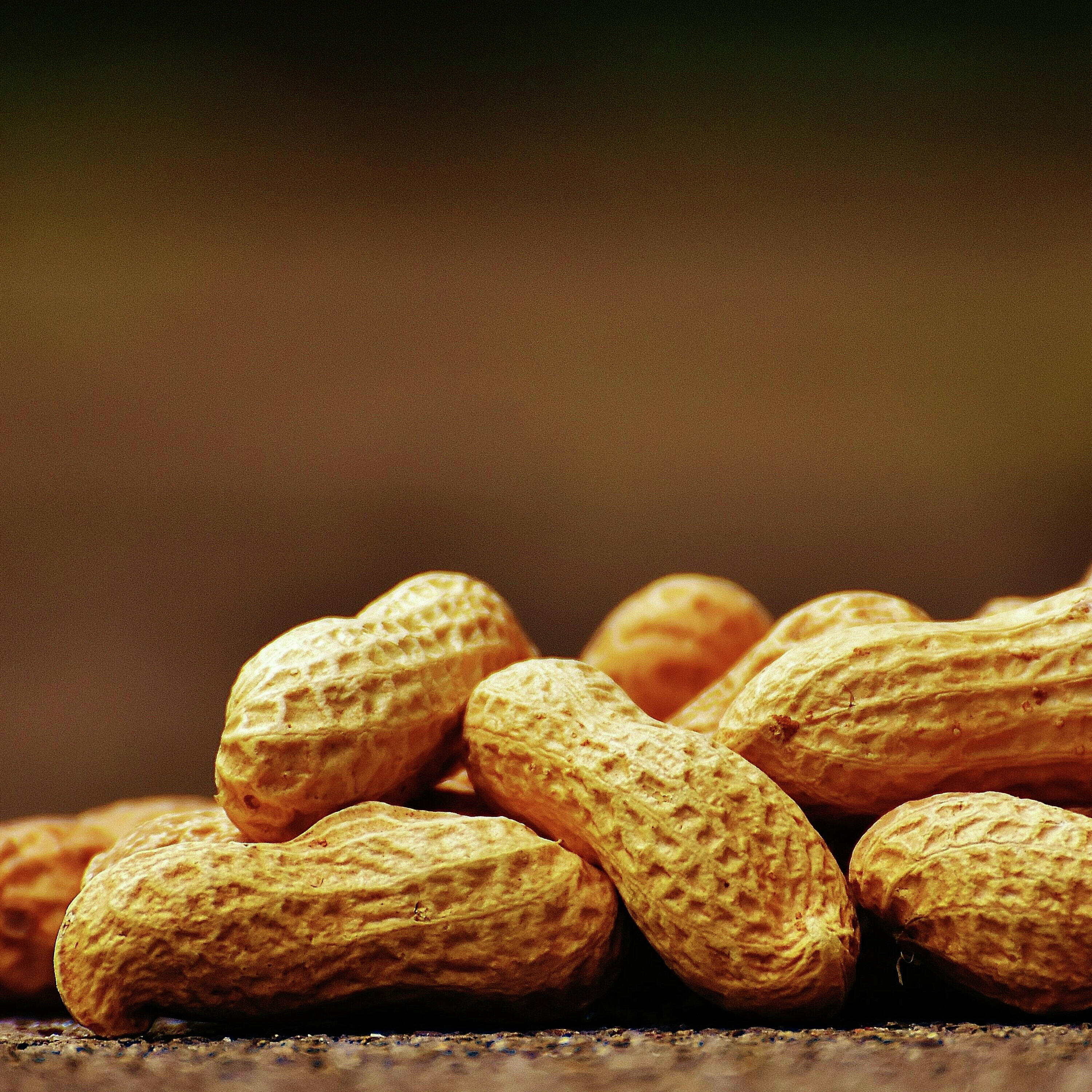 Get to know Quebec's first peanut farmer