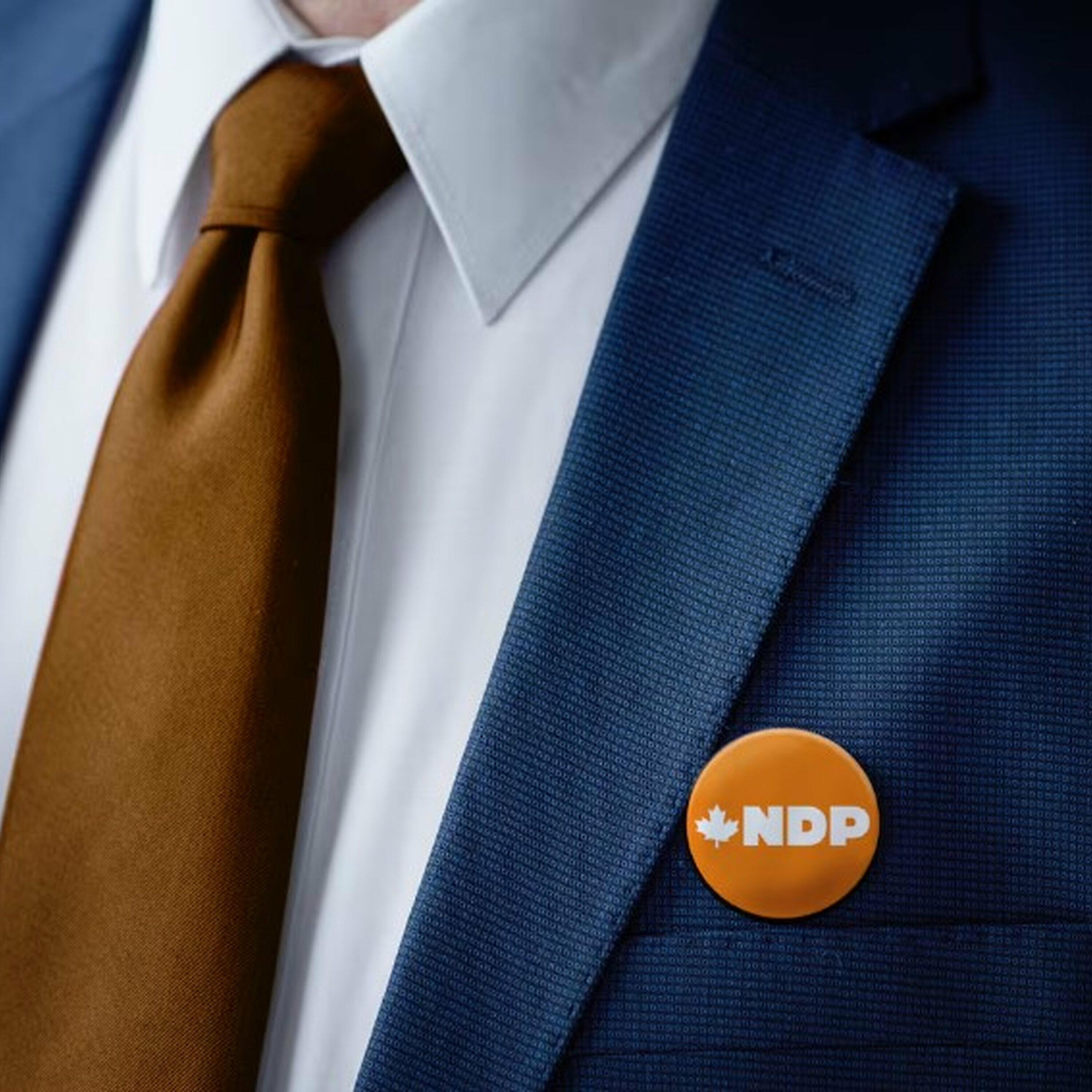 Can the NDP rise from its historic defeat and reclaim its place in Canadian politics?