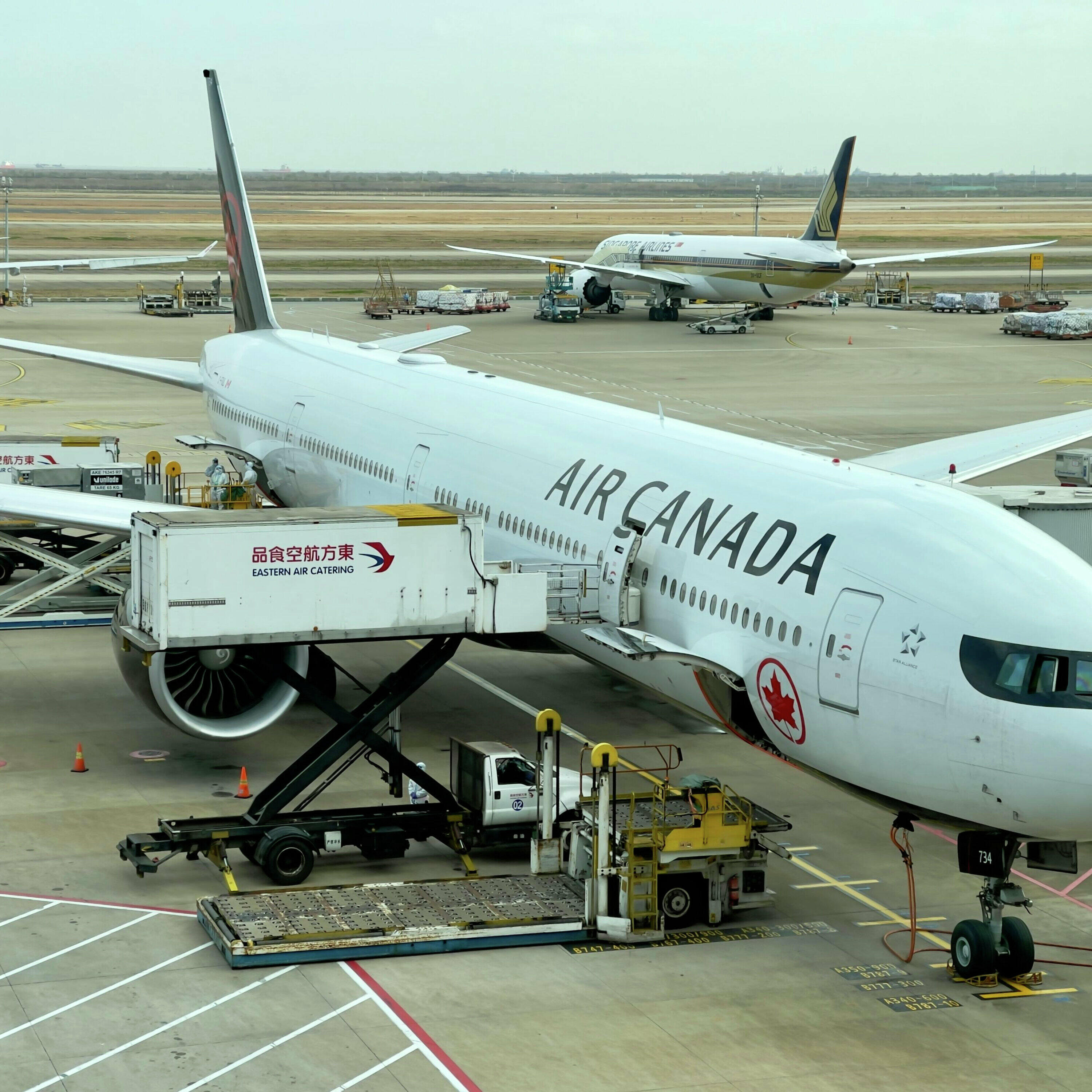 Travel agent says it might not be time to panic yet