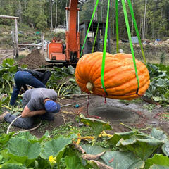 Leif Palmberg shares the secrets behind his award-winning 1758-pound pumpkin with Ryan and Lisa - Ryan Price - Sound Bites